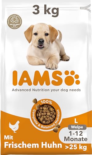 IAMS Junior Hundefutter trocken mit Huhn - Welpenfutter für Welpen im Alter von 1-12 Monaten, geeignet für große Rassen, 3 kg von Iams