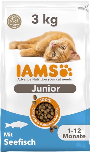 IAMS Junior Katzenfutter trocken mit Fisch - Trockenfutter für Kitten im Alter von 1-12 Monaten, 3 kg von Iams