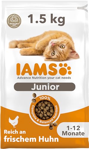 IAMS Junior Katzenfutter trocken mit Huhn - Trockenfutter für Kitten im Alter von 1-12 Monaten, 1,5 kg von Iams