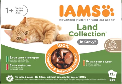 Iams Delights Land Collection Katzenfutter Nass - Multipack mit Fleisch Sorten (Lamm, Rind, Huhn & Pute) in Sauce, Nassfutter für Katzen ab 1 Jahr, 12 x 85g von Iams