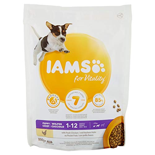 IAMS for Vitality Puppy Small & Medium Chicken für kleine und mittelgroße Hunde, 800 g von Iams