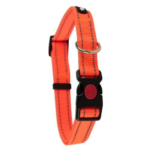Ibañez Grundlegende Hundehalsbänder Reflektierendes Halsband Orange Sicherheitsverschluss von IBAÑEZ