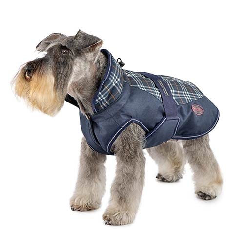 Ibañez Mantel und Jacken für Hunde, Mantel + Scott Breathe Comfort von IBAÑEZ