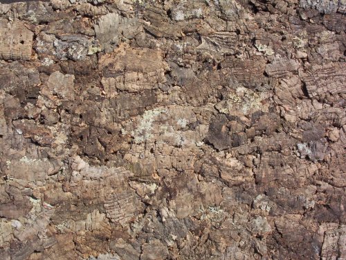 Korkrückwand Natur 60x30 cm, Terrarium, Kork Rückwand (92011), Dekor Hintergrund von Iberia-Kork WEINKORKEN & SEKTKORKEN