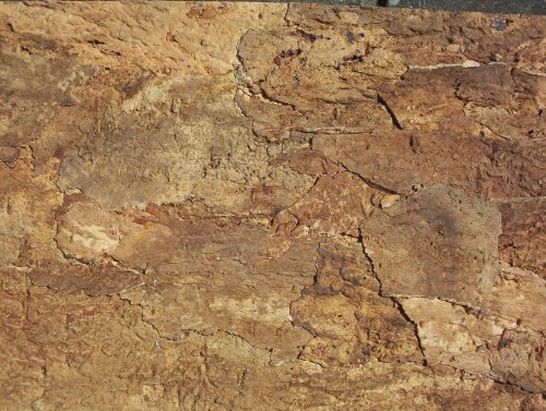 Korkrückwand innen Desert 60x30 cm, Terrarium, Kork Rückwand (92015) von Iberia Kork-Zoobedarf