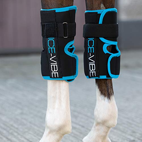 ICE-VIBE Knee Wrap von Horseware