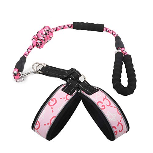 Icecode Hundegeschirr mit Leine, Haustiergeschirr, elastisches Seil, verstellbare Hundeleine für kleine Hunde (Pink) von Icecode