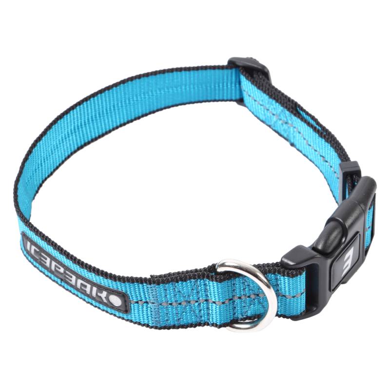 Icepeak Pet® Highway Basic Halsband, aqua - Größe M: 30-50 cm Halsumfang, 25 mm breit von Icepeak Pet