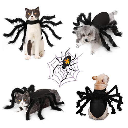 Idepet Haustier Hund Halloween Spinne Kostüm 8 Spinnenflügel Cosplay Kleidung für kleine mittelgroße Hunde Welpen Katze Kätzchen Outfits Dress up Party Hoilday Kostüm Dekoration Haarschmuck von Idepet
