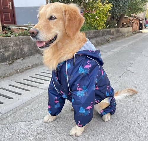 Idepet Regenmantel für Hunde Regenjacke Hund Winddicht Wasserdicht Hundamantel mit Kapuze für kleine und mittelgroße Hunde Regenschutz von Idepet