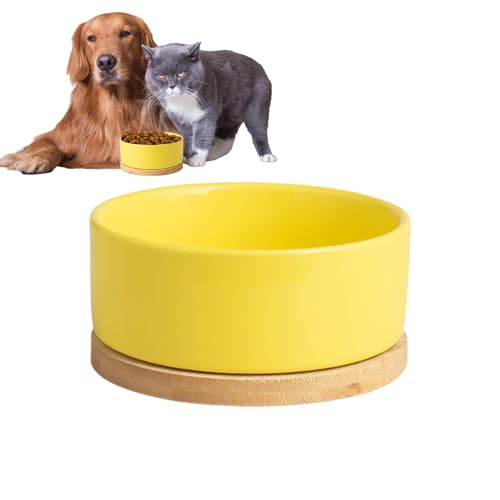 Idezek Haustier-Heiznapf, Keramiknapf für Hunde - Beheizter Futter- und Wassernapf für Haustiere - Wärmeableitungsloch-Design, Haustierfütterungsgerät für Katzen, Hunde, Kaninchen und andere Tiere von Idezek