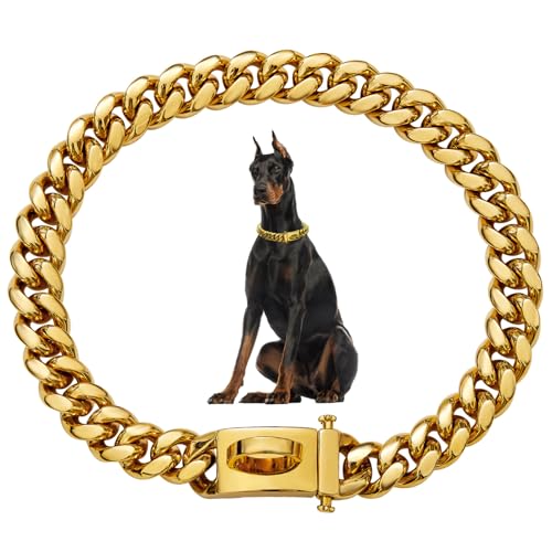 Hundekettenkragen 19mm Dickes Gold Metallhundkragen Edelstahlkette mit Schnalle Starker Hochleistungs -Halsketten -Halsketten -Haustier für kleine mittelgroße, große Hunde von Iewroyt