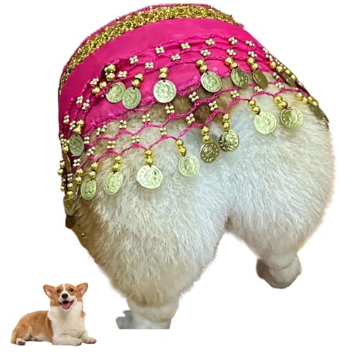 Iewroyt Hundekostüm, Hundetänzer Kostüm, Haustierkleidung, Party -Kleid, Welpenbauchdanz Hip Wickelgürtel von Iewroyt