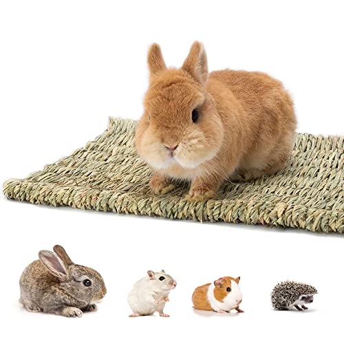 Ifan 6 Stück Grasmatte für Kaninchen Hase, gewebte natürliche Heumatte für Kleintiere, Kauspielzeug für Meerschweinchen, Hamster, Chinchilla, Eichhörnchen, Igel Ifan 6 Stück Grasmatte für Kaninchen Hase, gewebte natürliche Heumatte für Kleintiere, Kauspielzeug für Meerschweinchen, Hamster, Chinchilla, Eichhörnchen, Igel von Ifan