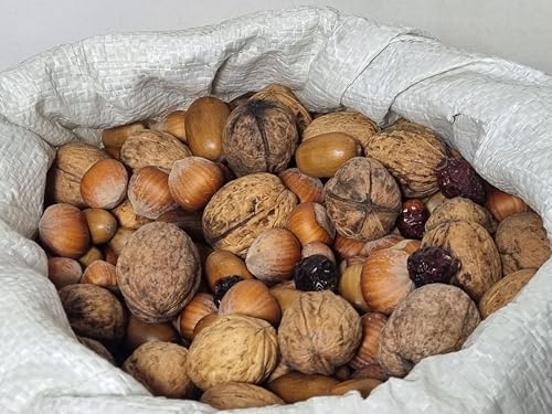 Igart Futter für Eichhörnchen und Vögel 5kg | Studentenfutter | Walnüssen, Haselnüssen, Eicheln, Hagebutten von IGART