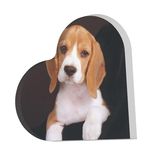 Ovely Beagle Acryl-Ornament für Haustiere, Andenken an Eltern, Weihnachts- und Geburtstagsgeschenk, ohne Sockel, geeignet für Büro und Heimdekoration Ovely Beagle Acryl-Ornament für Haustiere, Andenken an Eltern, Weihnachts- und Geburtstagsgeschenk, ohne Sockel, geeignet für Büro und Heimdekoration von IguaTu