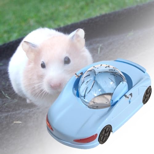 Laufrad Hamster, Hamster Räders Sport Running Bälle Spielzeug, Trainingsrad Für Hamsters, Lustiger Haustier Transparenter Ball, Für Frettchen Kleines Tier Laufrad Hamster, Hamster Räders Sport Running Bälle Spielzeug, Trainingsrad Für Hamsters, Lustiger Haustier Transparenter Ball, Für Frettchen Kleines Tier von Ihdjasg