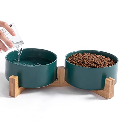 Ihoming Hundenäpfe | Futternapf für Hunde & Katzen, Keramiknapf für Futter & Wasser (grün) von Ihoming
