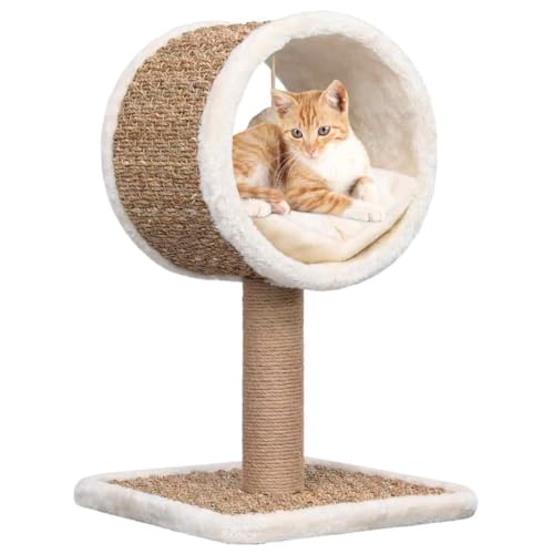 Iiaky Katzen-Kratzbaum mit Tunnel und Spielzeug 56 cm Katzenkratzbaum Cat Tree Katzen Kratzbaum Katzen ZubehöR Indoor Seegras Iiaky Katzen-Kratzbaum mit Tunnel und Spielzeug 56 cm Katzenkratzbaum Cat Tree Katzen Kratzbaum Katzen ZubehöR Indoor Seegras von Iiaky