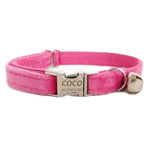Haustierhalsband mit individueller Gravur, personalisiertes Katzen- und Hundehalsband mit Sicherheitsverschluss, Halsbänder mit Glöckchen für Katzenjungen und mädchen (Dicker Samt in Rosa,L) von Iirlvior