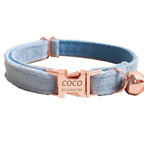 Haustierhalsband mit individueller Gravur, personalisiertes Katzen- und Hundehalsband mit Sicherheitsverschluss, Halsbänder mit Glöckchen für Katzenjungen und mädchen (Himmelblauer Samt,L) von Iirlvior