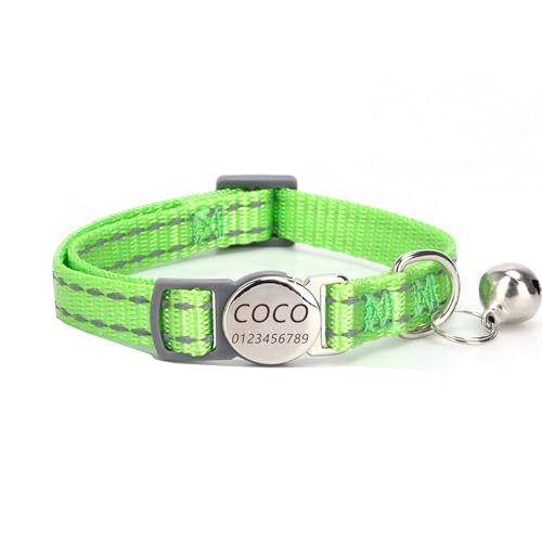 Haustierhalsband mit individueller Gravur, personalisiertes Katzen- und Hundehalsband mit Sicherheitsverschluss, individuelle Halsbänder mit Glöckchen für Katzenjungen und mädchen (Grasgrün) von Iirlvior