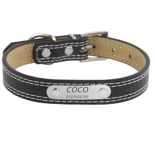 Personalisiertes Hundehalsband aus Leder mit gravierter Metallschnalle – Haustierhalsbänder personalisiert mit Namen und Telefonnummer – verstellbare Größen für Rassen (White Thread, Black,M) von Iirlvior