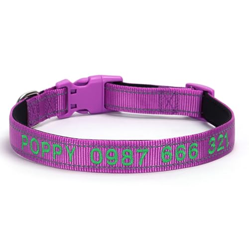 Personalisiertes Hundehalsband mit Namen, individuell bestickter Kosename und Telefonnummer, verstellbare Größen, kleine Schnellverschlussschnalle, reflektierende Haustierhalsbänder (Hellviolett) von Iirlvior