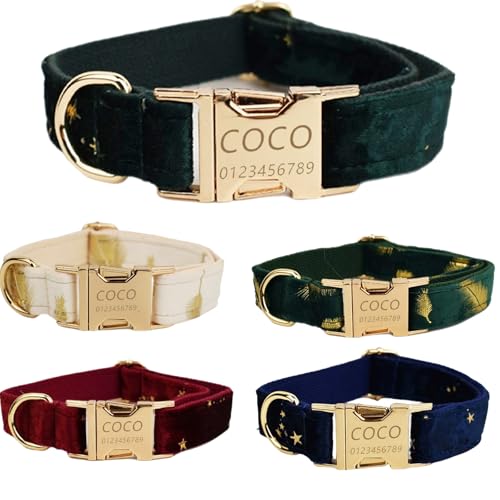 Personalisiertes Hundehalsband mit gravierter Metallschnalle – Haustierhalsbänder personalisiert mit Namen und Telefonnummer – Samtdruck – Verstellbare Größen für Rassen (Grüner Stern, M) von Iirlvior