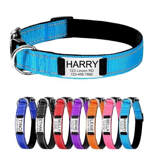 Reflektierend Personalisiertes Hundehalsband mit gravierter Metallschnalle, Haustierhalsbänder personalisiert mit Namen und Telefonnummer mit graviertem Schieber – verstellbare Größen (Blau L) von Iirlvior