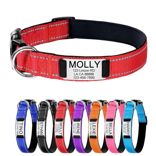 Reflektierend Personalisiertes Hundehalsband mit gravierter Metallschnalle, Haustierhalsbänder personalisiert mit Namen und Telefonnummer mit graviertem Schieber – verstellbare Größen (Rot M) von Iirlvior
