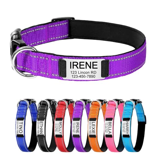 Reflektierend Personalisiertes Hundehalsband mit gravierter Metallschnalle, Haustierhalsbänder personalisiert mit Namen und Telefonnummer mit graviertem Schieber – verstellbare Größen (lila M) von Iirlvior