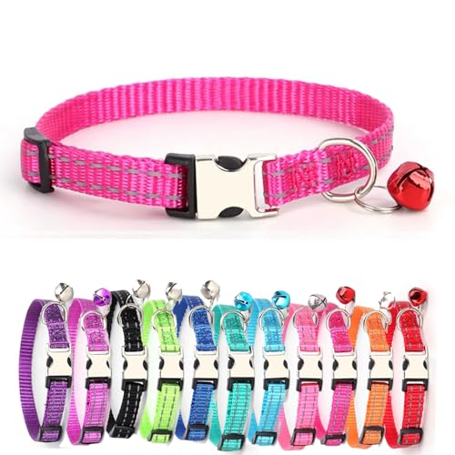 Reflektierend katzenhalsband Haustierhalsband mit individueller Gravur, personalisiertes Katzen mit Sicherheitsverschluss, individuelle Halsbänder mit Glöckchen für Katzenjungen (Rosenrot,XS) von Iirlvior