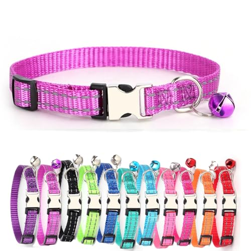 Reflektierend katzenhalsband Haustierhalsband mit individueller Gravur, personalisiertes Katzen mit Sicherheitsverschluss, individuelle Halsbänder mit Glöckchen für Katzenjungen (lila,XS) von Iirlvior