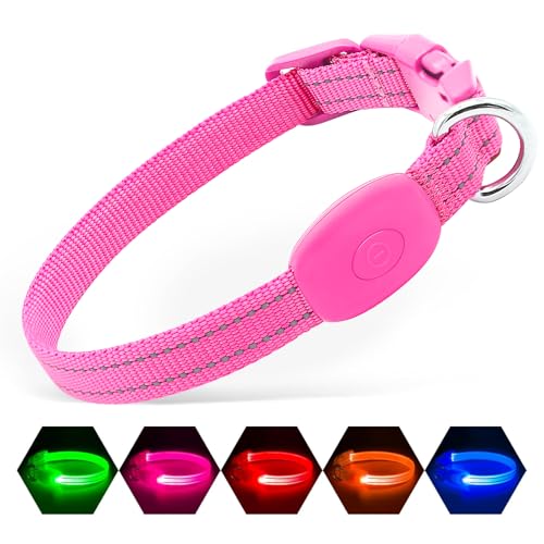 Illumifun LED-Hundehalsband, wiederaufladbar, wiederaufladbar, leuchtendes Hundehalsband, wasserabweisend, verstellbar, Sicherheitshalsband für kleine, mittelgroße und große Hunde, leuchtet im Dunkeln Illumifun LED-Hundehalsband, wiederaufladbar, wiederaufladbar, leuchtendes Hundehalsband, wasserabweisend, verstellbar, Sicherheitshalsband für kleine, mittelgroße und große Hunde, leuchtet im Dunkeln von Illumifun
