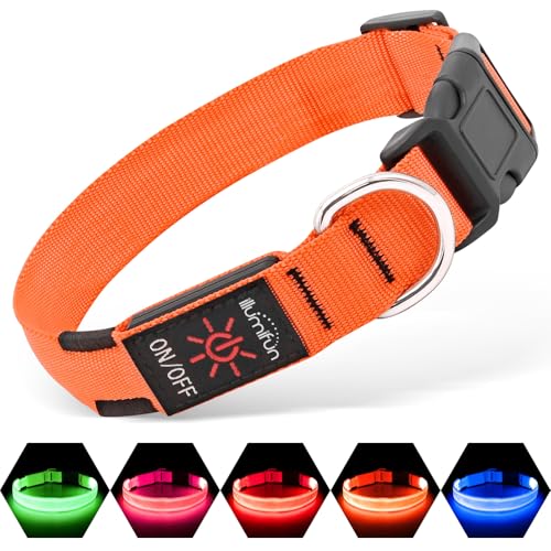Illumifun LED-Hundehalsband, wiederaufladbar über USB, beleuchtetes Hundehalsband, reflektierend, verstellbar, leuchtendes Haustier-Sicherheitshalsband für Ihre Hunde, die nachts spazieren gehen Illumifun LED-Hundehalsband, wiederaufladbar über USB, beleuchtetes Hundehalsband, reflektierend, verstellbar, leuchtendes Haustier-Sicherheitshalsband für Ihre Hunde, die nachts spazieren gehen von Illumifun