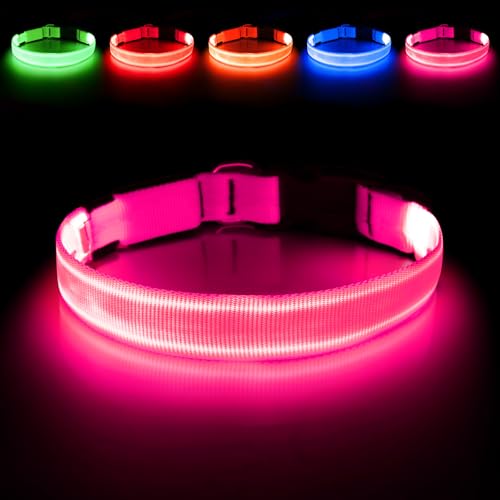 Illumifun Leuchthalsband Hund, USB LED Hundehalsband, Wiederaufladbar Hundehalsband Leuchtend für Hunde Einstellbare Größe, 3 Beleuchtungsmodi für Mittelgroß Hunde (Pink, Mittel) Illumifun Leuchthalsband Hund, USB LED Hundehalsband, Wiederaufladbar Hundehalsband Leuchtend für Hunde Einstellbare Größe, 3 Beleuchtungsmodi für Mittelgroß Hunde (Pink, Mittel) von Illumifun