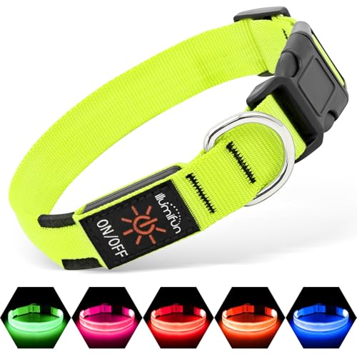 Illumifun Leuchthalsband Hund, USB LED Hundehalsband, Wiederaufladbar Hundehalsband Leuchtend für Hunde Einstellbare Größe, 3 Beleuchtungsmodi für Kleine Mittlere Große Hunde (Grün, Mittel) Illumifun Leuchthalsband Hund, USB LED Hundehalsband, Wiederaufladbar Hundehalsband Leuchtend für Hunde Einstellbare Größe, 3 Beleuchtungsmodi für Kleine Mittlere Große Hunde (Grün, Mittel) von Illumifun