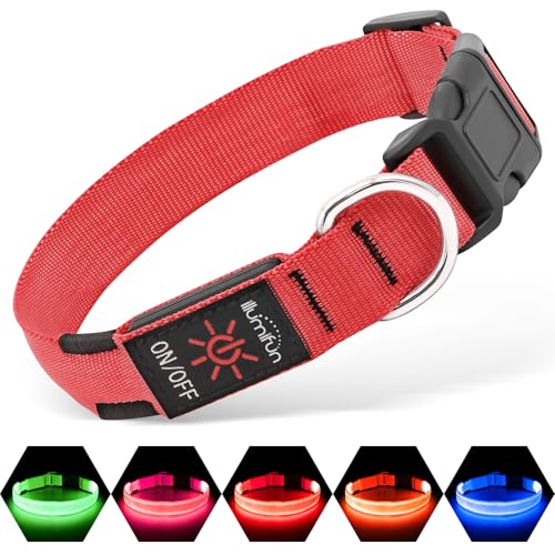 Illumifun Leuchthalsband Hund Aufladbar LED Hundehalsband Wasserdichtes Leuchthalsband für kleine und große Hunde, Hundelichter für nächtliche Spaziergänge (Rot, Mittel) Illumifun Leuchthalsband Hund Aufladbar LED Hundehalsband Wasserdichtes Leuchthalsband für kleine und große Hunde, Hundelichter für nächtliche Spaziergänge (Rot, Mittel) von Illumifun