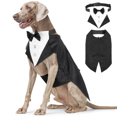 Illumifun Smokinganzug und Bandana-Set, eleganter Hunde-Hochzeitsparty-Anzug mit Fliege, Hemd, Weste, Haustier-Smoking-Kostüm mit abnehmbarem Fliegenkragen (2XL) von Illumifun