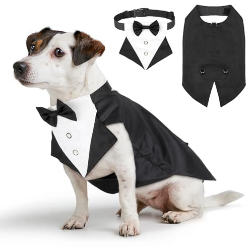 Illumifun Smokinganzug und Bandana-Set, eleganter Hunde-Hochzeitsparty-Anzug mit Fliege, Hemd, Weste, Haustier-Smoking-Kostüm mit abnehmbarem Fliegenkragen (M) von Illumifun