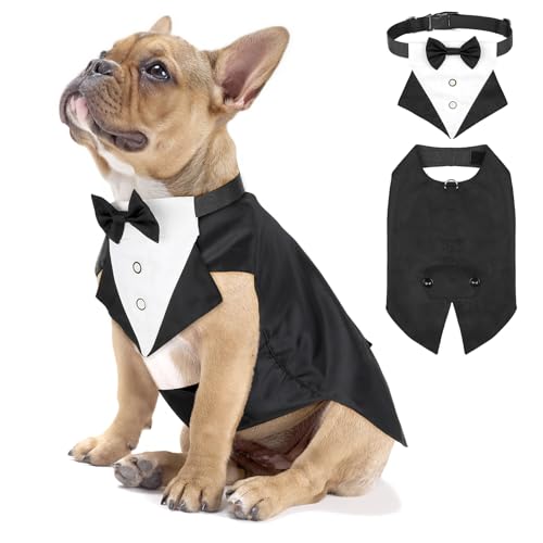 Illumifun Smokinganzug und Bandana-Set, eleganter Hunde-Hochzeitsparty-Anzug mit Fliege, Hemd, Weste, Haustier-Smoking-Kostüm mit abnehmbarem Fliegenkragen (S) von Illumifun