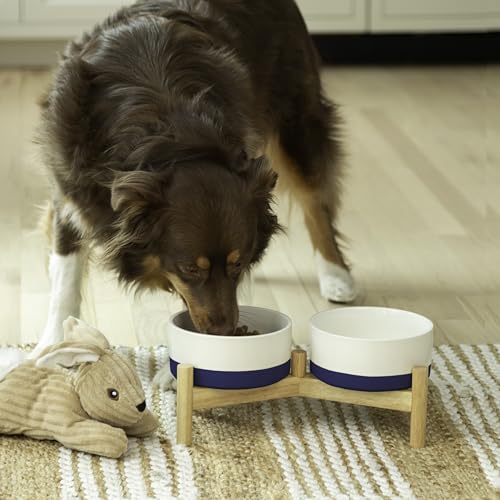 Ilyapa Keramik-Hundenäpfe – erhöhter Hundenapfständer für mittelgroße Haustiere mit erhöhtem Futter und Wasser – Blau Doppelnapf 15,2 cm, 794 ml und 33 x 16 x 14 cm Holzständer Ilyapa Keramik-Hundenäpfe – erhöhter Hundenapfständer für mittelgroße Haustiere mit erhöhtem Futter und Wasser – Blau Doppelnapf 15,2 cm, 794 ml und 33 x 16 x 14 cm Holzständer von Ilyapa