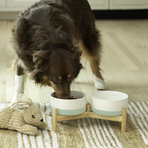 Ilyapa Keramik-Hundenäpfe – erhöhter Hundenapfständer für mittelgroße Haustiere mit erhöhtem Futter und Wasser – Grünes Doppelnapf 15,2 cm, 800 ml und 33 x 16 x 14 cm Holzständer Ilyapa Keramik-Hundenäpfe – erhöhter Hundenapfständer für mittelgroße Haustiere mit erhöhtem Futter und Wasser – Grünes Doppelnapf 15,2 cm, 800 ml und 33 x 16 x 14 cm Holzständer von Ilyapa