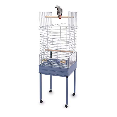 Imac Vogelkäfig - EZIA Special 57 x 54 x 82/138 cm, Chrom-Blau, Vögel Imac Vogelkäfig - EZIA Special 57 x 54 x 82/138 cm, Chrom-Blau, Vögel von Imac