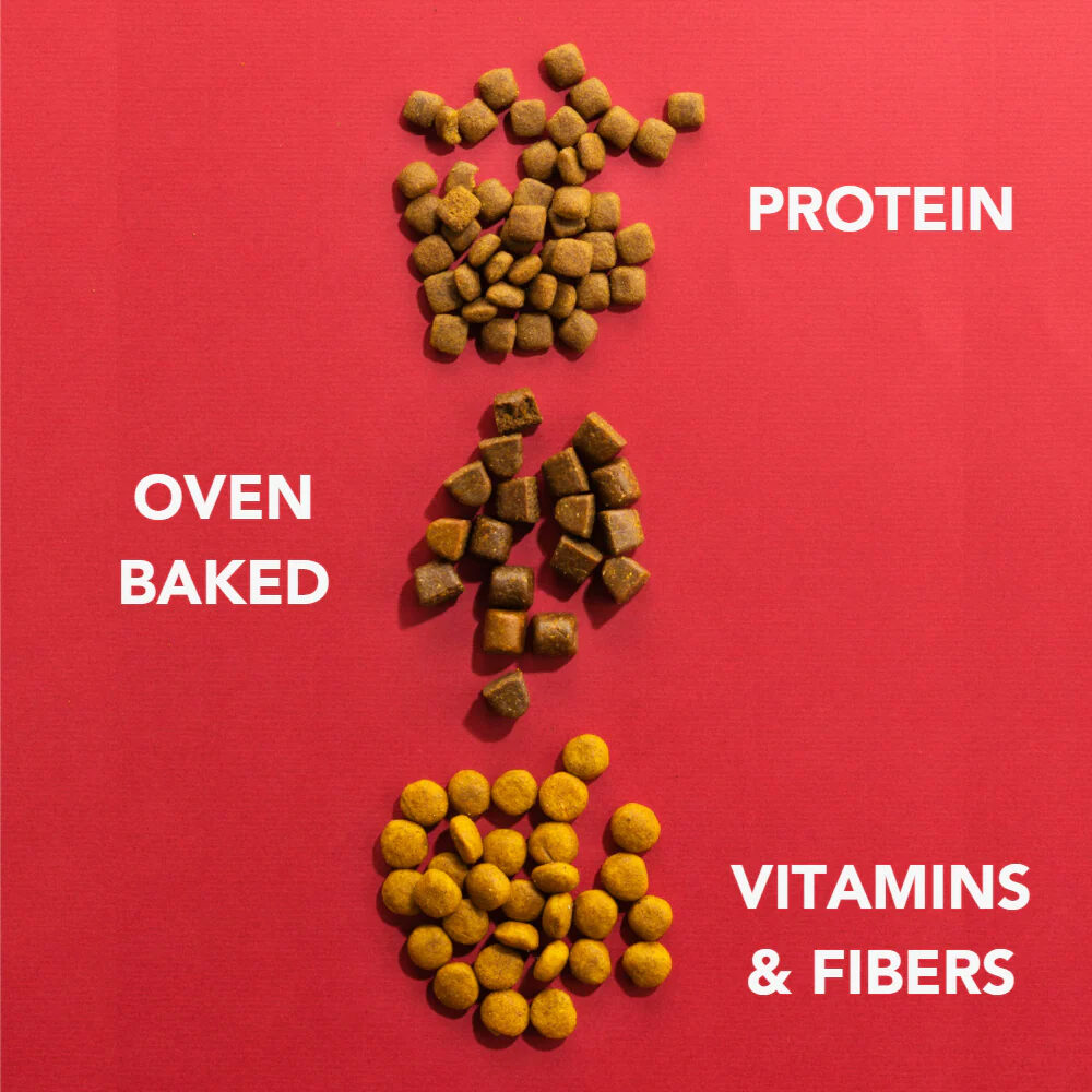 Imby Insect-based Puppy - 1,5 kg von Imby