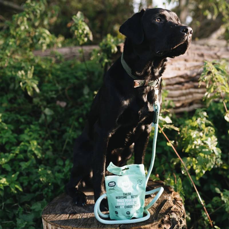 Imby Nibbles Snooze & Sleep - 100 g von Imby