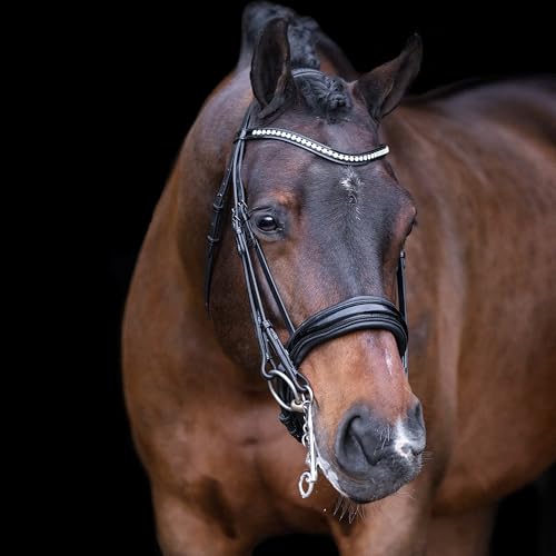 Imperial Riding Kandarenzaum IRHAthena, Black, P/S von Imperial Riding
