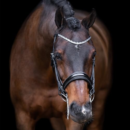 Imperial Riding Kandarenzaum IRHOlympia, Black-Silver, F/S Imperial Riding Kandarenzaum IRHOlympia, Black-Silver, F/S von Imperial Riding