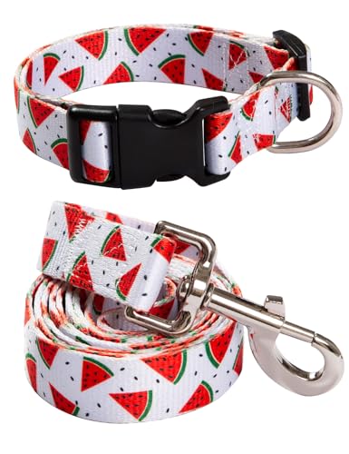 Impoosy 2 Stück Wassermelone Hundehalsbänder mit lustiger Haustier-Leine, verstellbar, für kleine bis große Hundehalsbänder, Set (S) von Impoosy